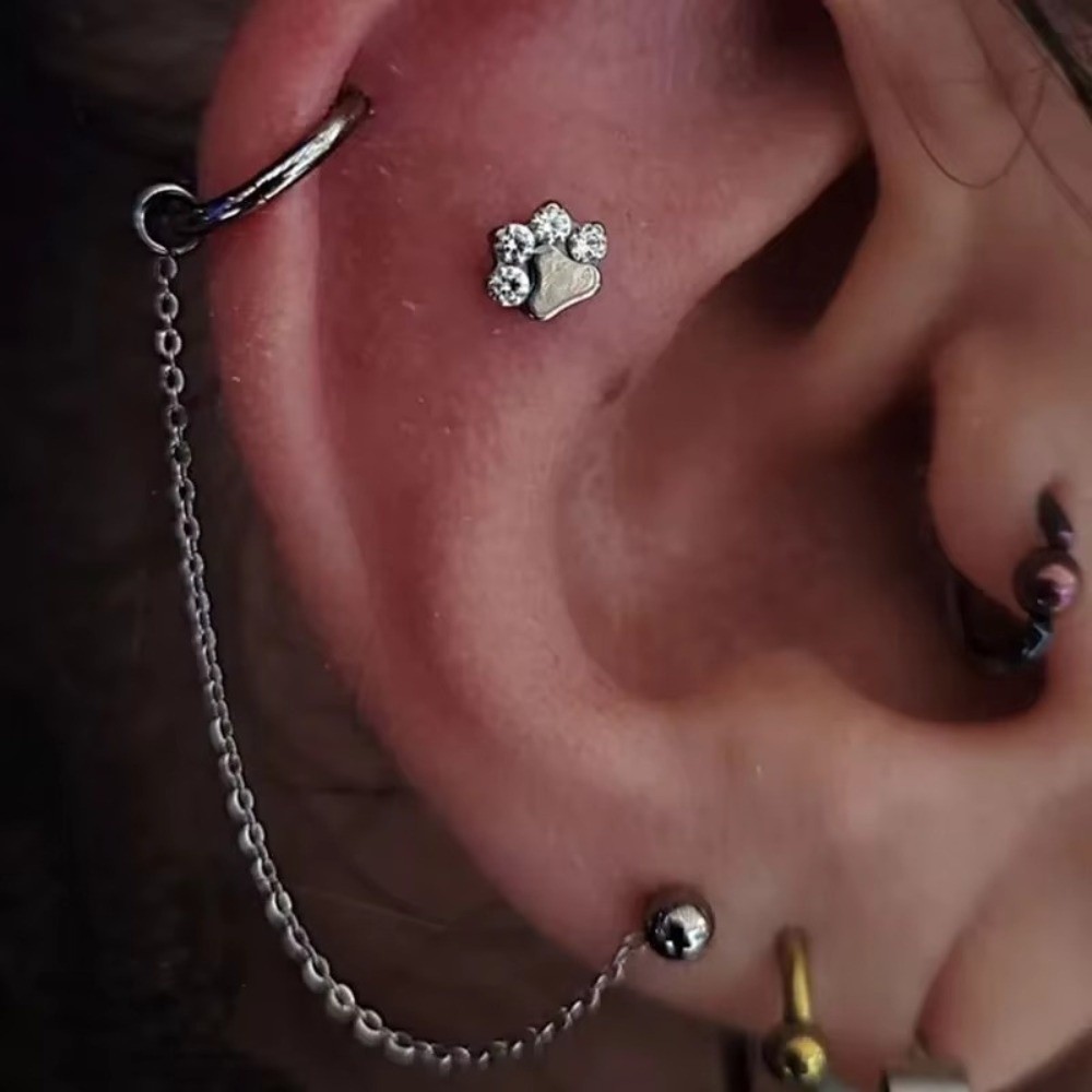 Титановая цепочка для носа, тр – обзор и цена Body Jewelry Ear Piercing